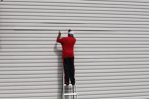 Affordable Siding Repair and Maintenance Services in Leachville, AR